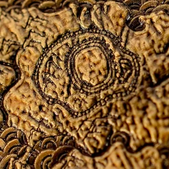 Avatar - Wereldkaart Magneet