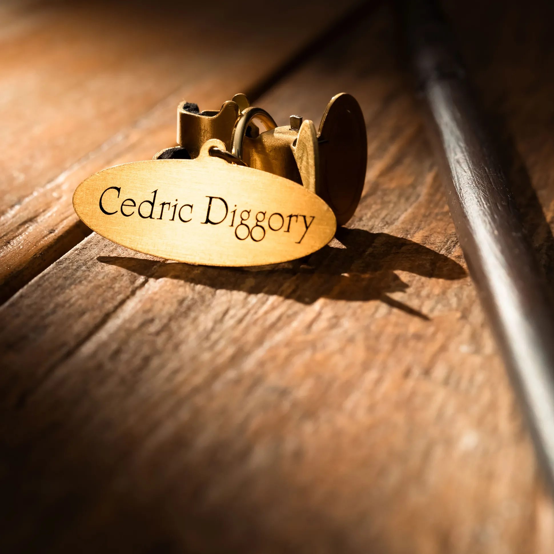 Cedric Diggory Toverstaf - Karaktereditie