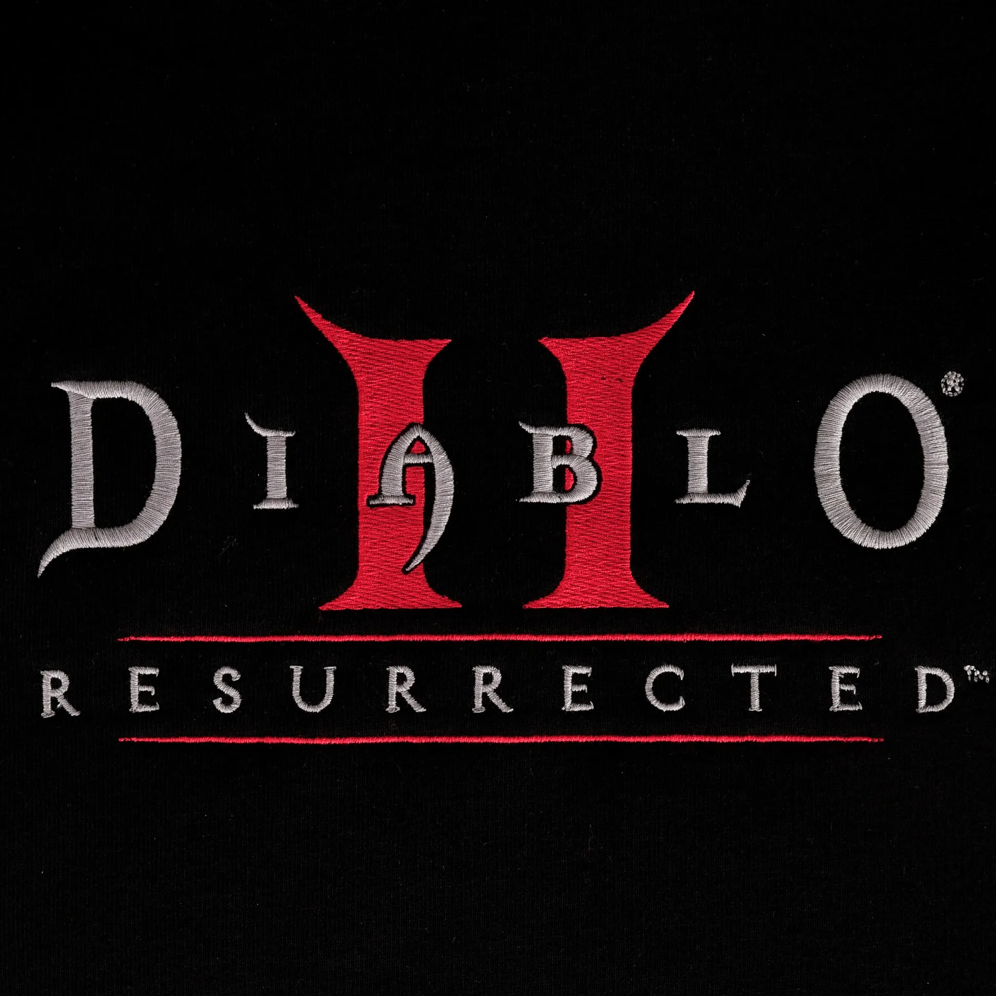 Diablo - Logo Hoodie Zwart