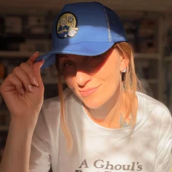 Fallout - Lucky 38 Pet