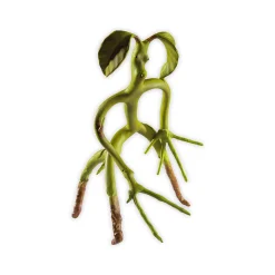 Fantastic Beasts - Buigbare Bowtruckle-figuur 19cm