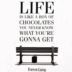 Forrest Gump - Life Is Like a Box of Chocolates T-Shirt wit