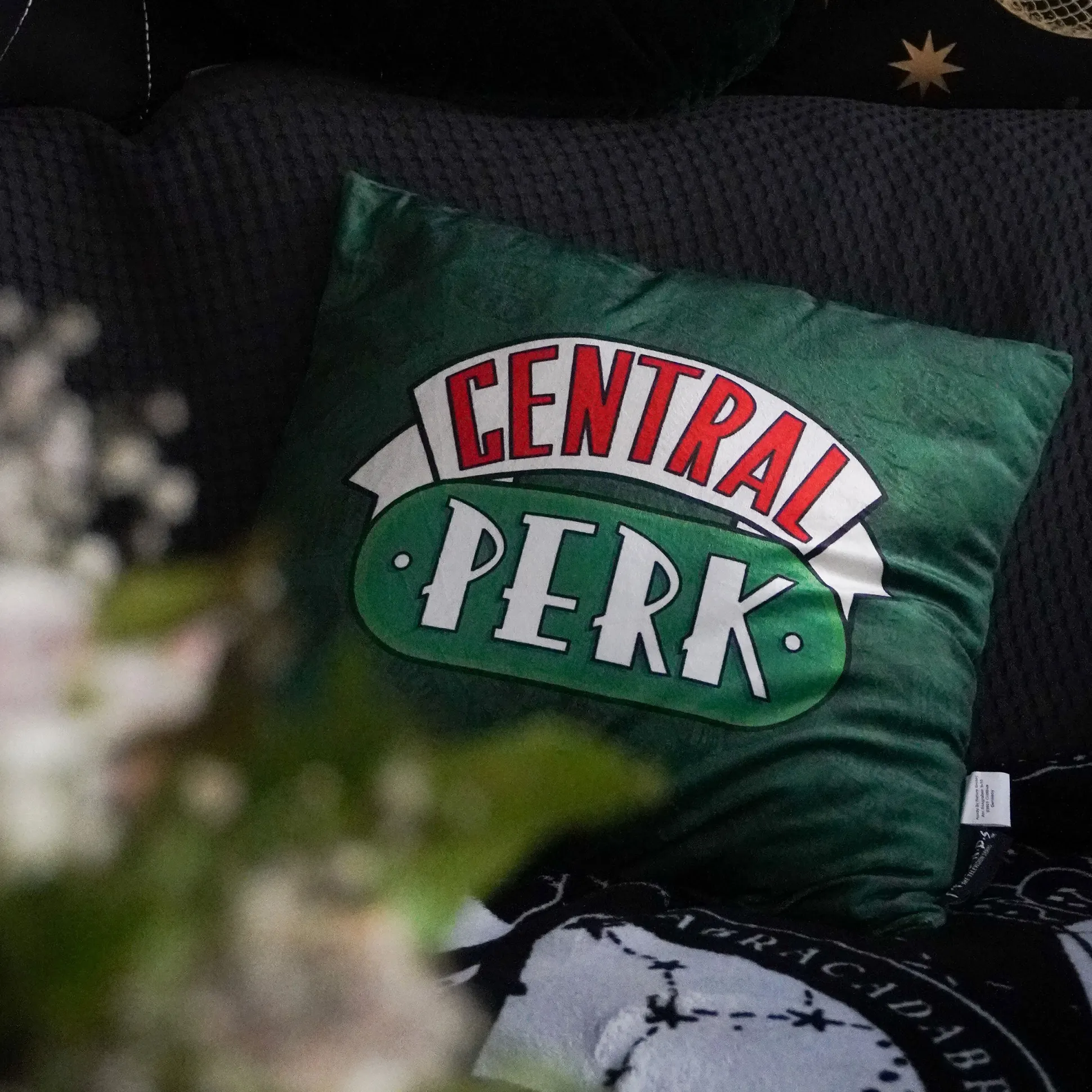 Friends - Central Perk Kussen Groen