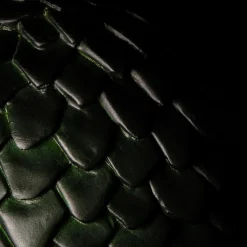 Game of Thrones - Rhaegal Drakenei Groen