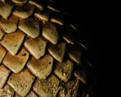 Game of Thrones - Viserion Drakenei