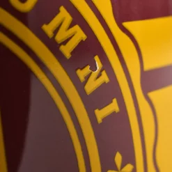 Gryffindor Hogwarts Alumni Koekjestrommel B-Ware - Harry Potter