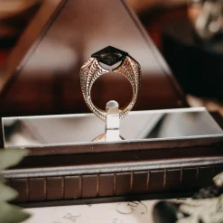 Harry Potter - De Gruziekring