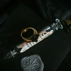 Harry Potter - De Gruziekring