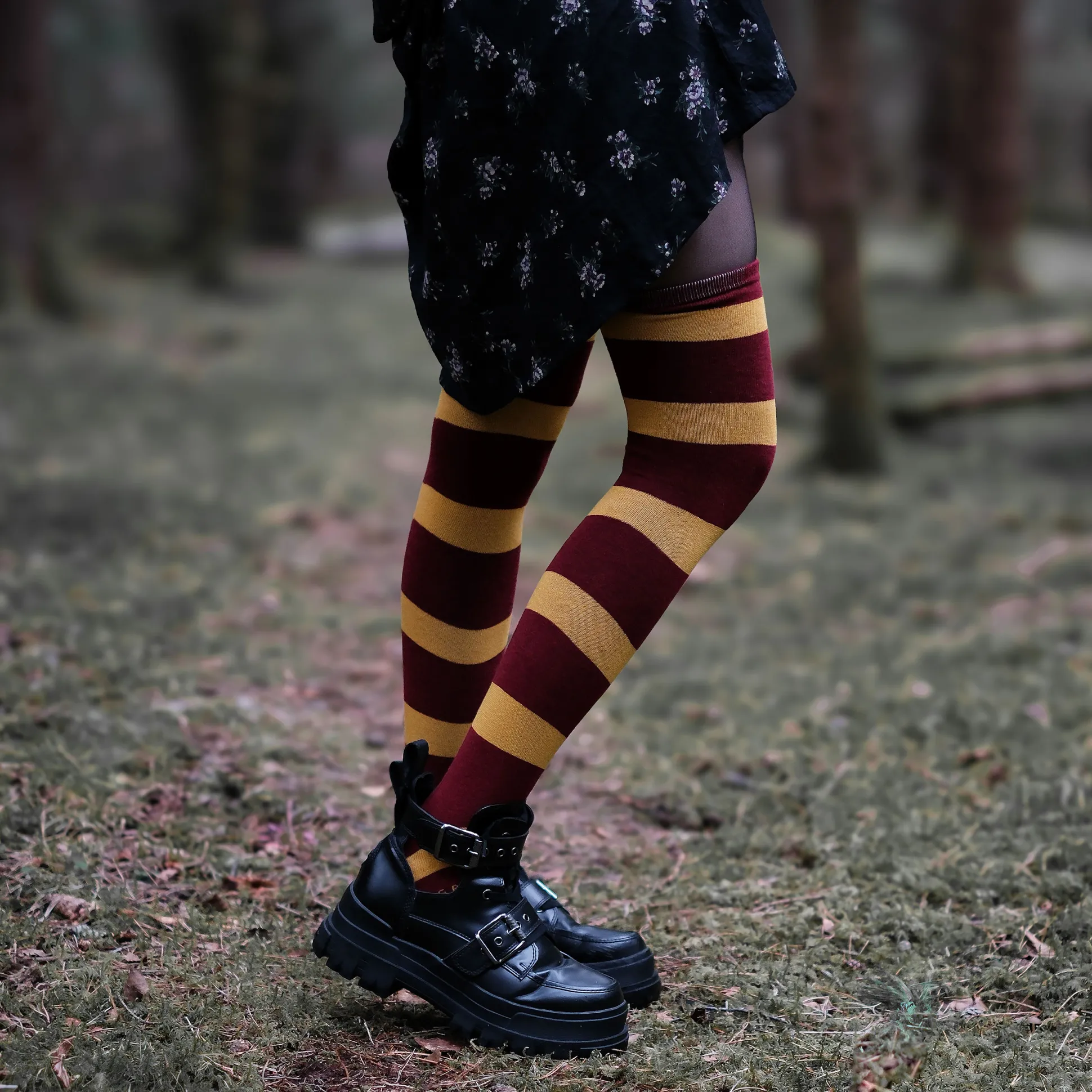 Harry Potter - Griffoendor Overknee Sokken 2-Pack