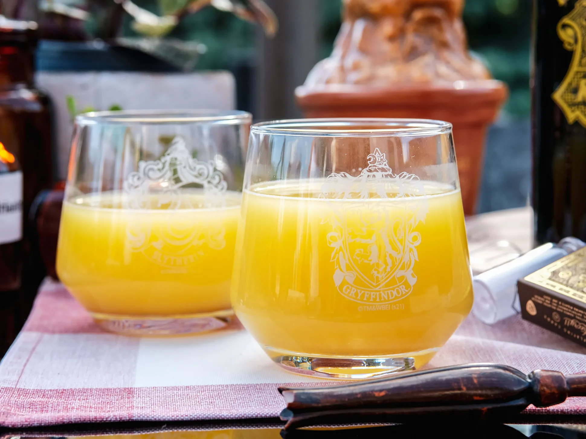 Harry Potter - Gryffindor en Slytherin Glasset