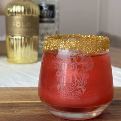 Harry Potter - Gryffindor en Slytherin Glasset