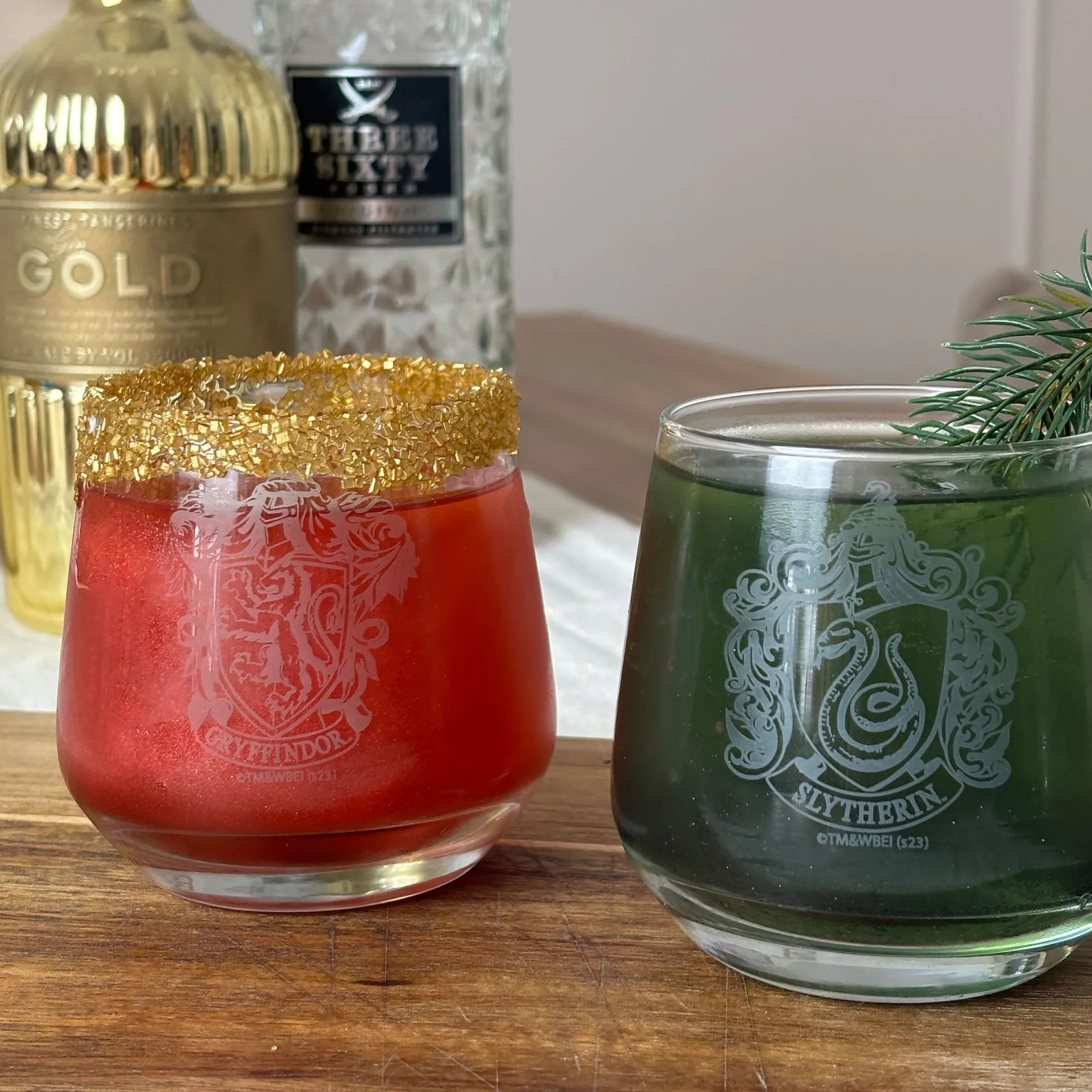 Harry Potter - Gryffindor en Slytherin Glasset