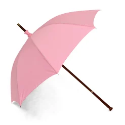 Harry Potter - Hagrid's Toverstaf Paraplu