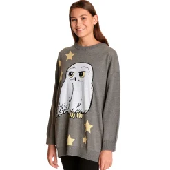 Harry Potter - Hedwig oversized trui grijs