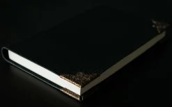 Harry Potter - Het dagboek van Tom Riddle