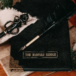 Harry Potter - Het dagboek van Tom Riddle