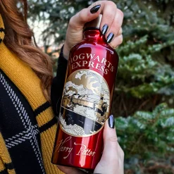 Harry Potter - Hogwarts Express Drinkfles