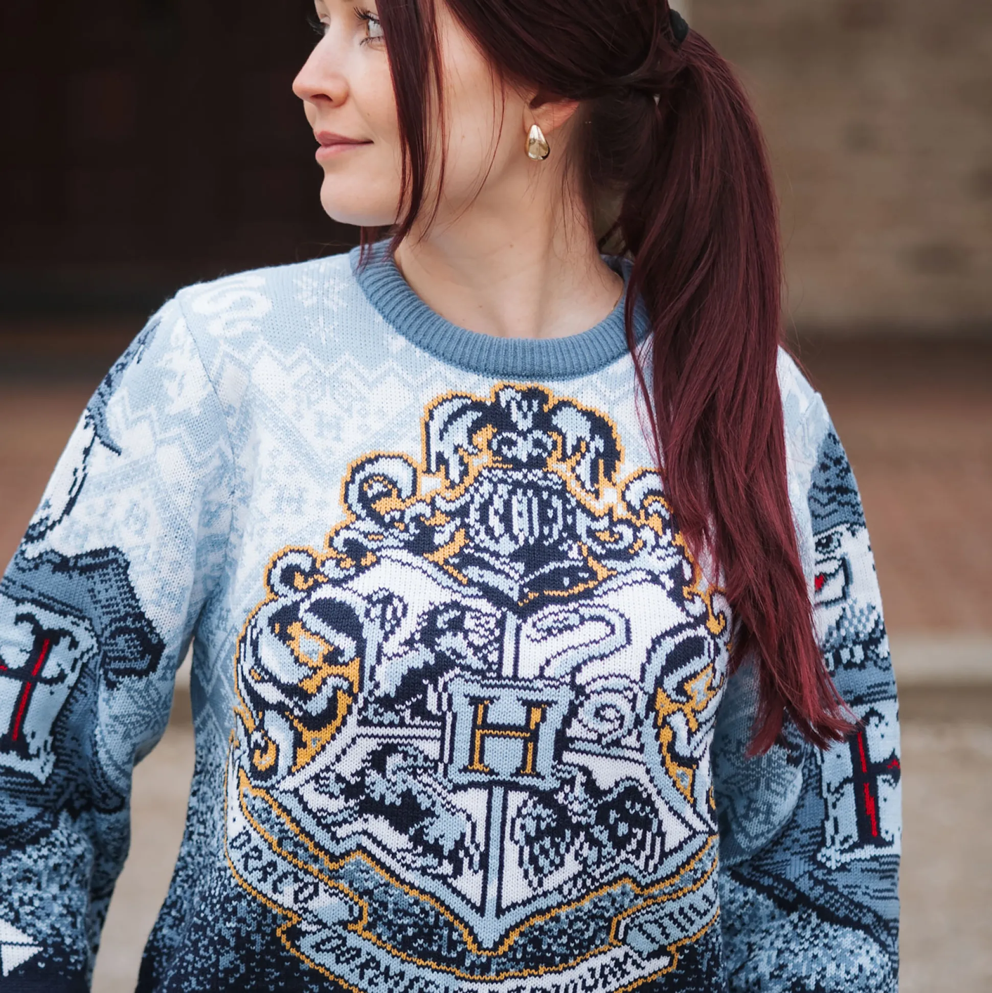 Harry Potter - Hogwarts Gebreide Trui