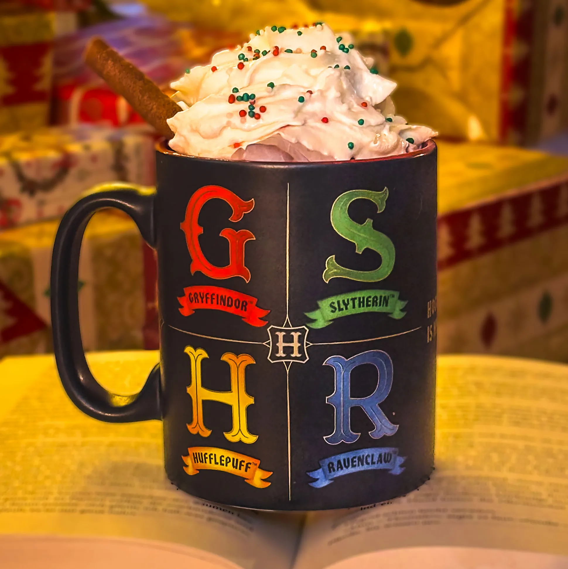 Harry Potter - Hogwarts Huizen Mok