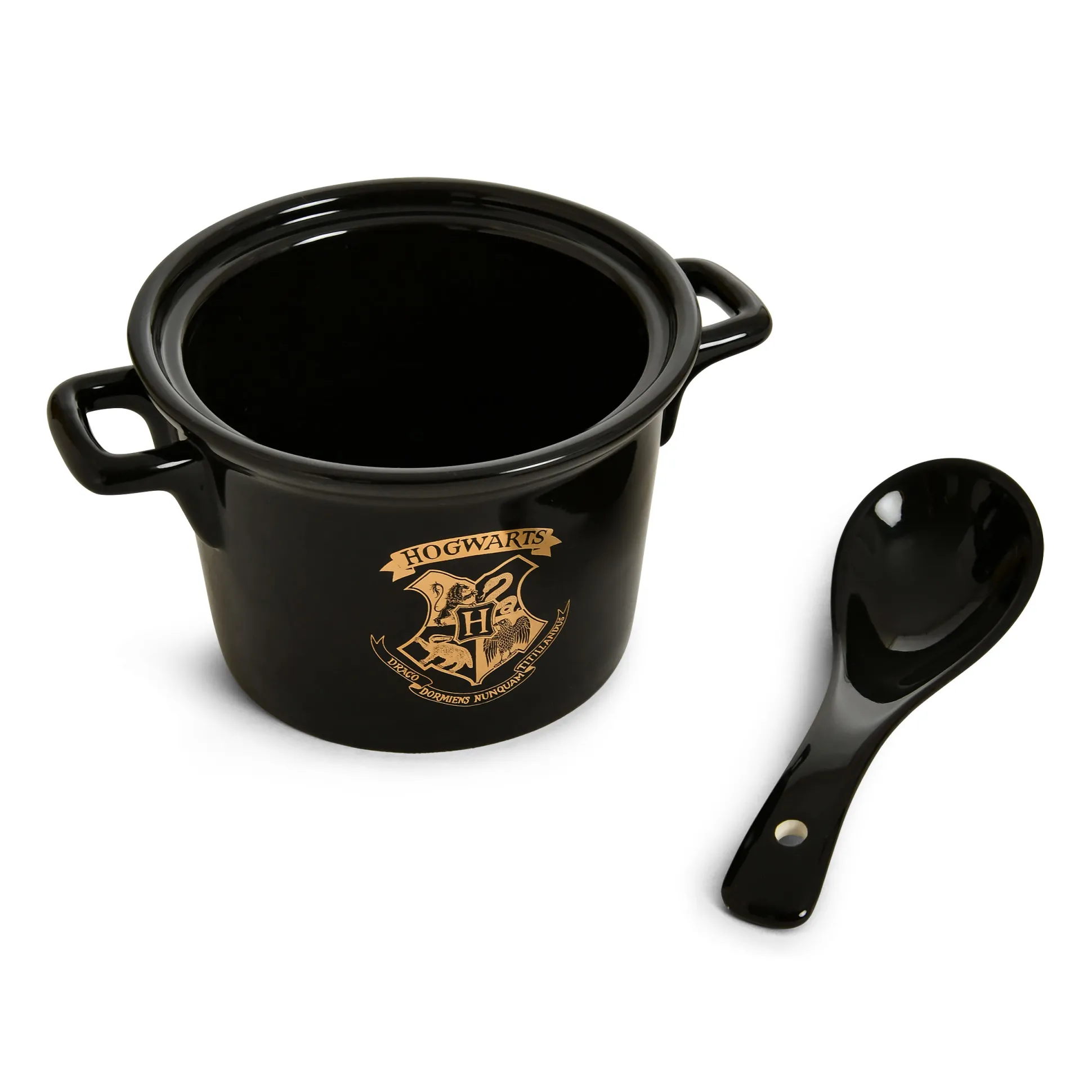 Harry Potter - Hogwarts Ketelkom met Lepel