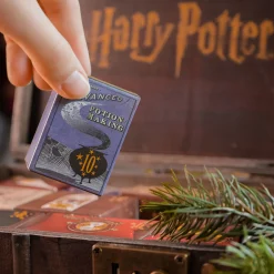 Harry Potter - Hogwarts Koffer Adventskalender