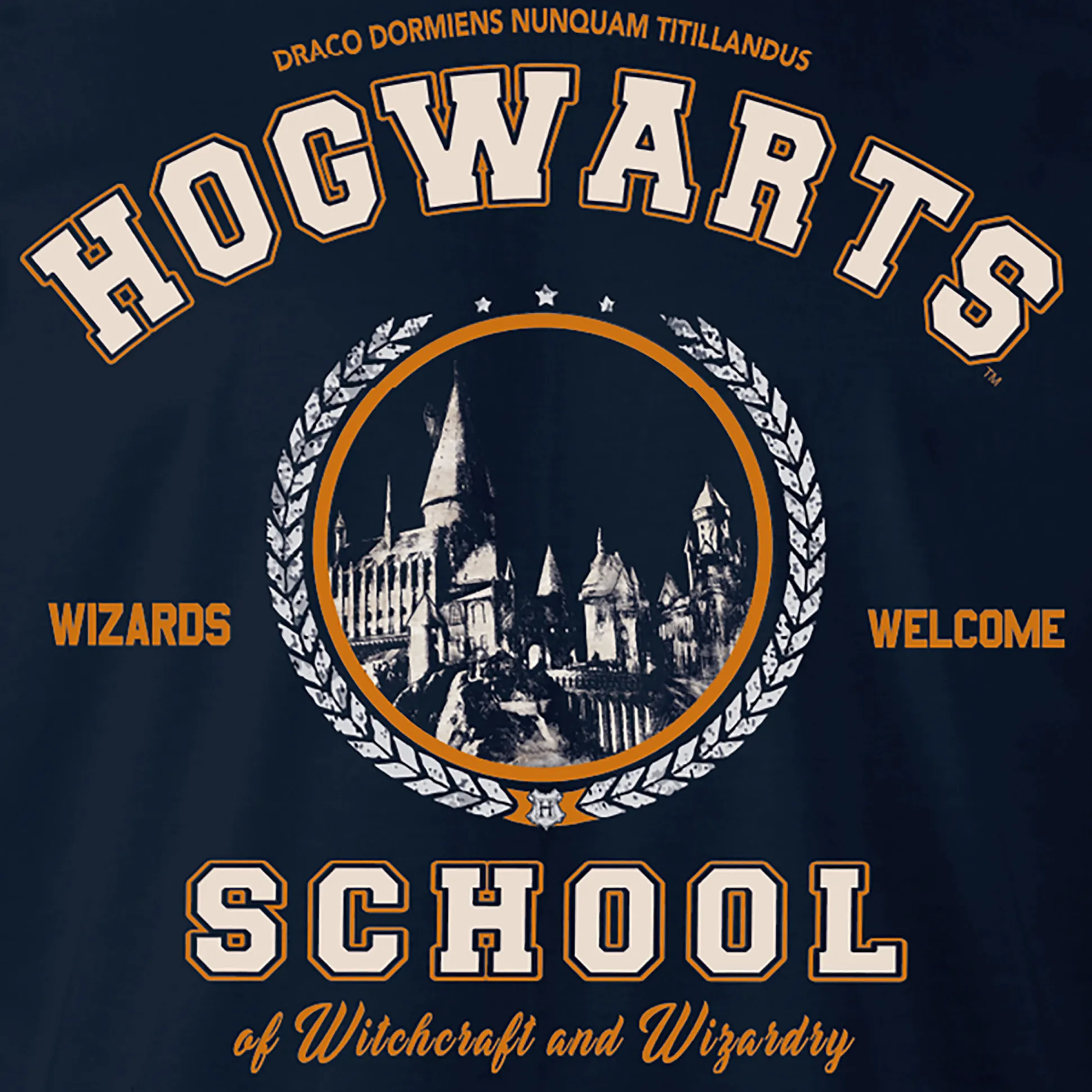 Harry Potter - Hogwarts School Hoodie Blauw