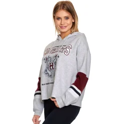 Harry Potter - Hogwarts School Crop Hoodie Dames Grijs
