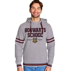 Harry Potter - Hogwarts School Hoodie grijs