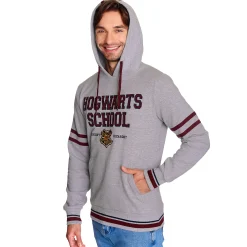 Harry Potter - Hogwarts School Hoodie grijs