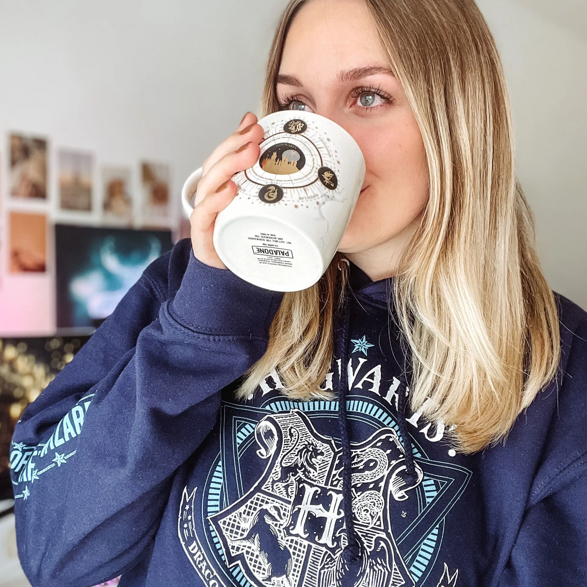 Harry Potter - Hogwarts School of Witchcraft Hoodie blauw