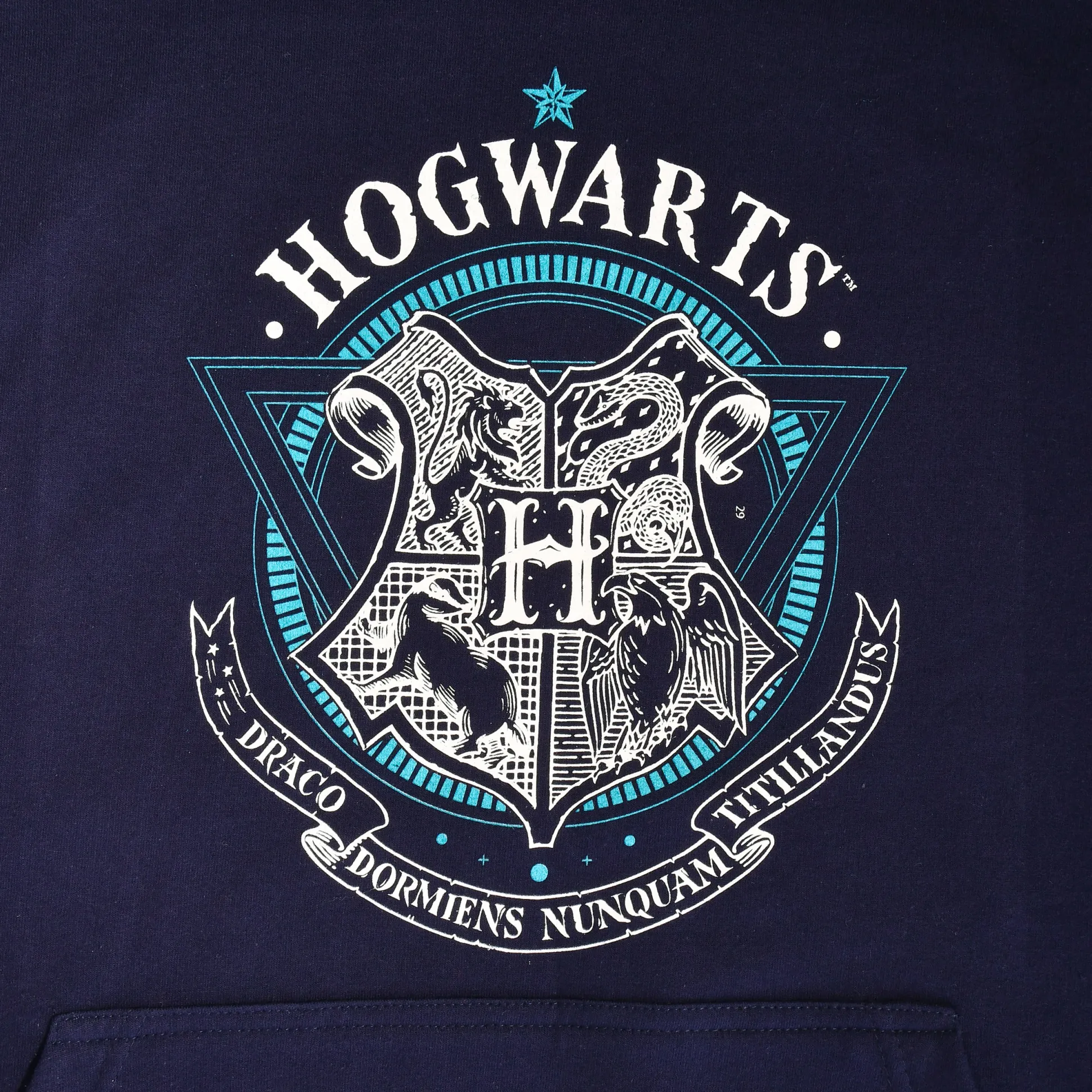 Harry Potter - Hogwarts School of Witchcraft Hoodie blauw
