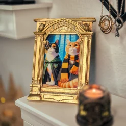 Harry Potter - Hogwarts spiegel-fotolijst