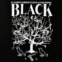 Harry Potter - House of Black T-shirt zwart