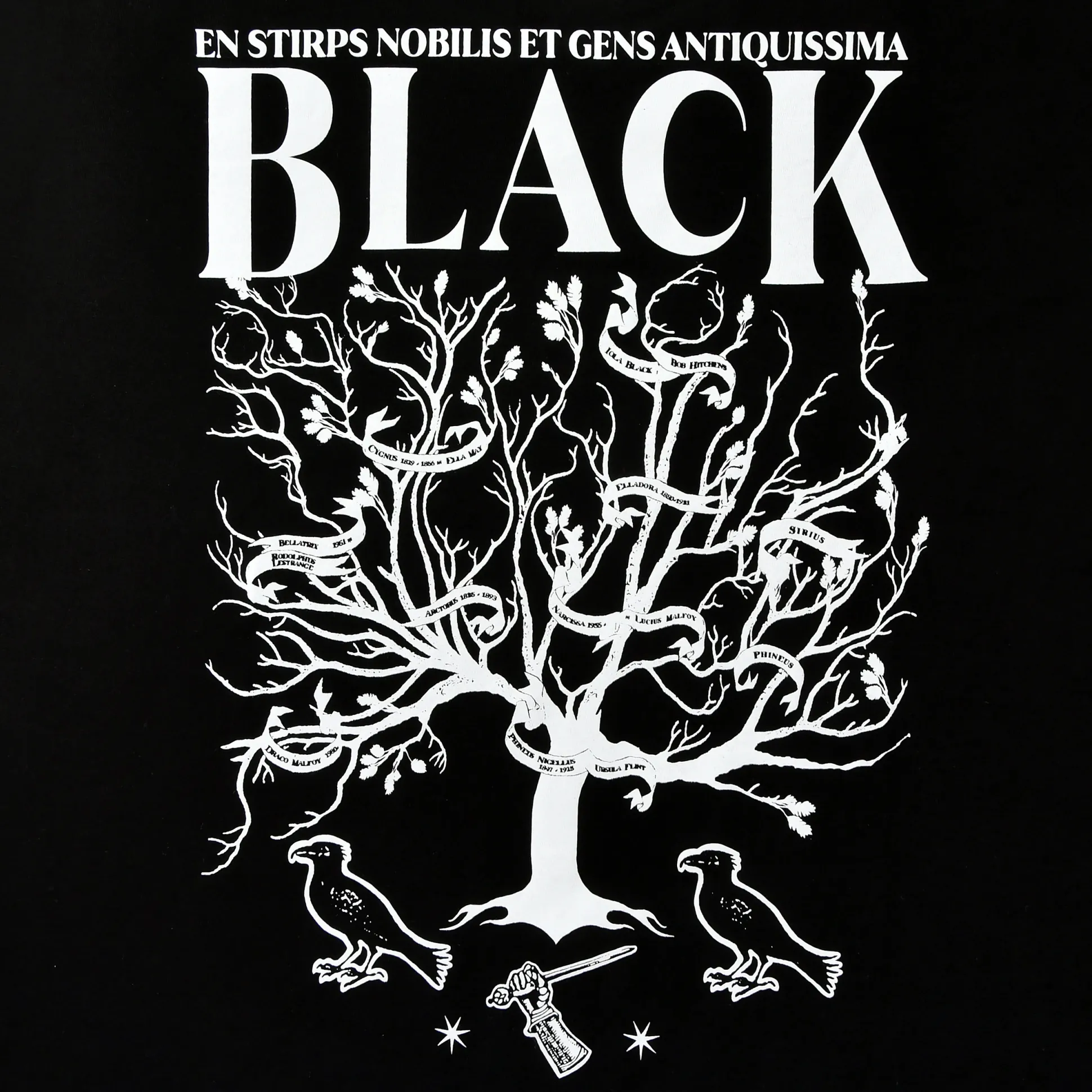 Harry Potter - House of Black T-shirt zwart