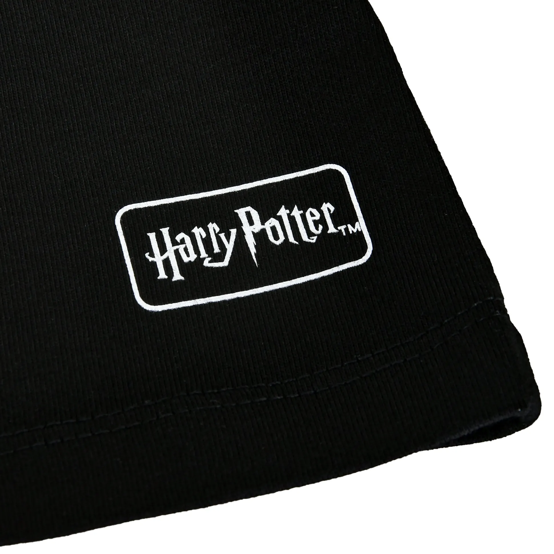 Harry Potter - House of Black T-shirt zwart