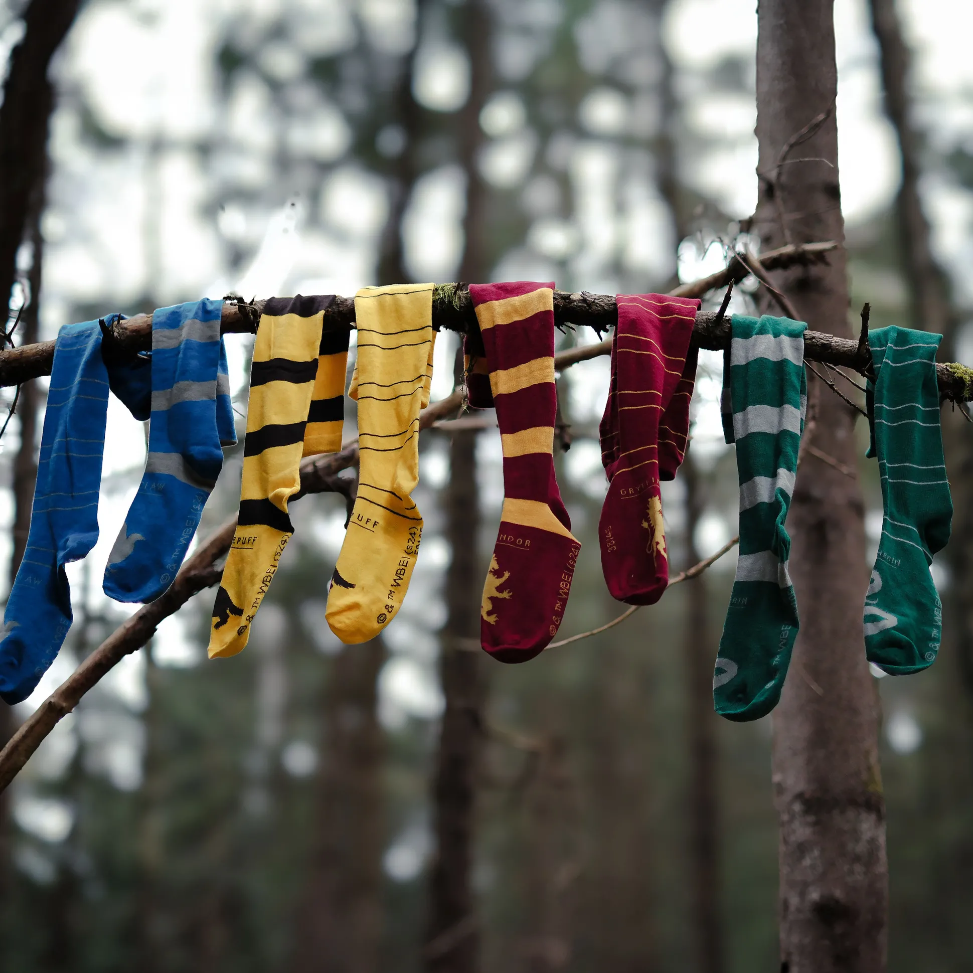 Harry Potter - Huffelpuf Overknee Sokken 2-Pack