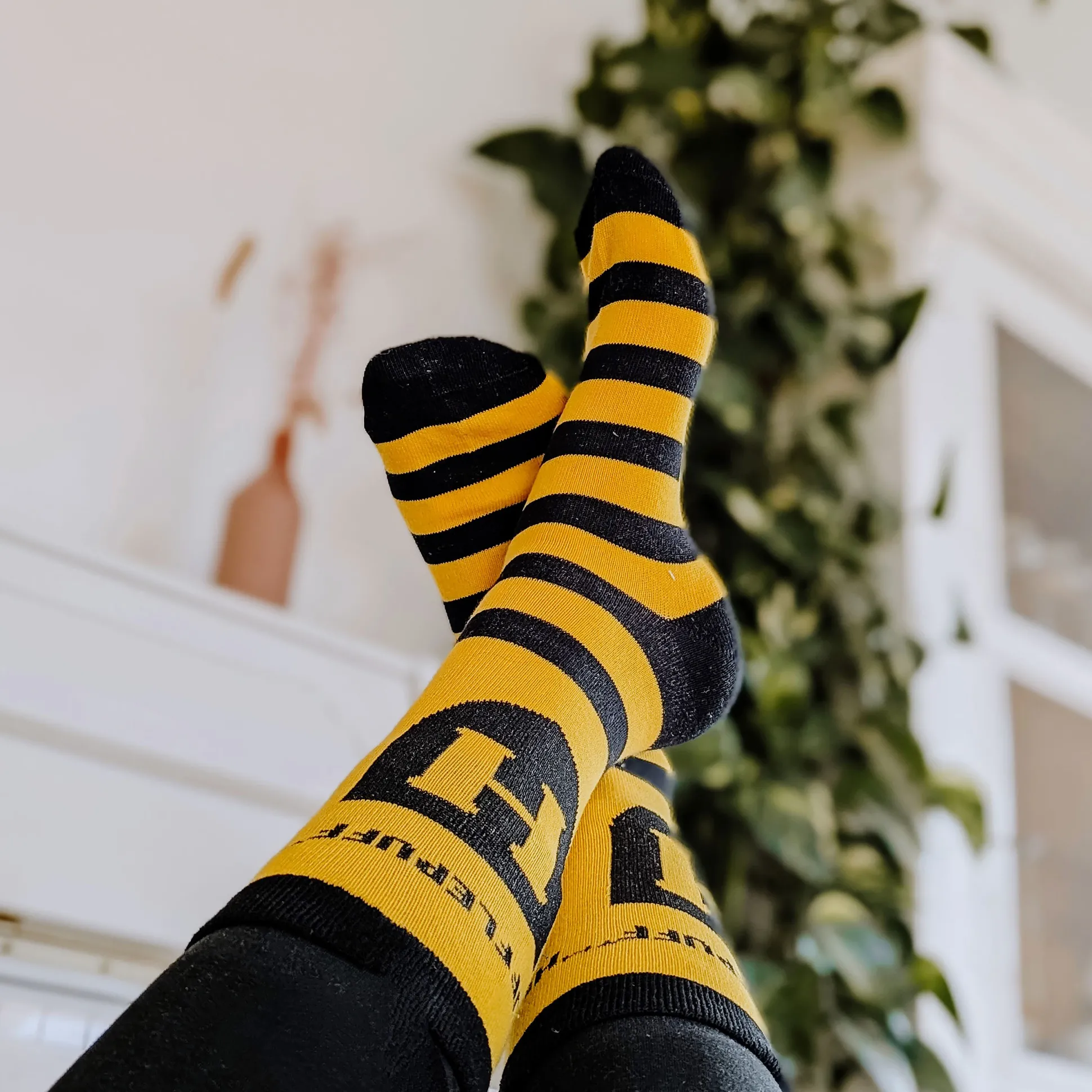 Harry Potter - Hufflepuff Logo Sokken geel-zwart