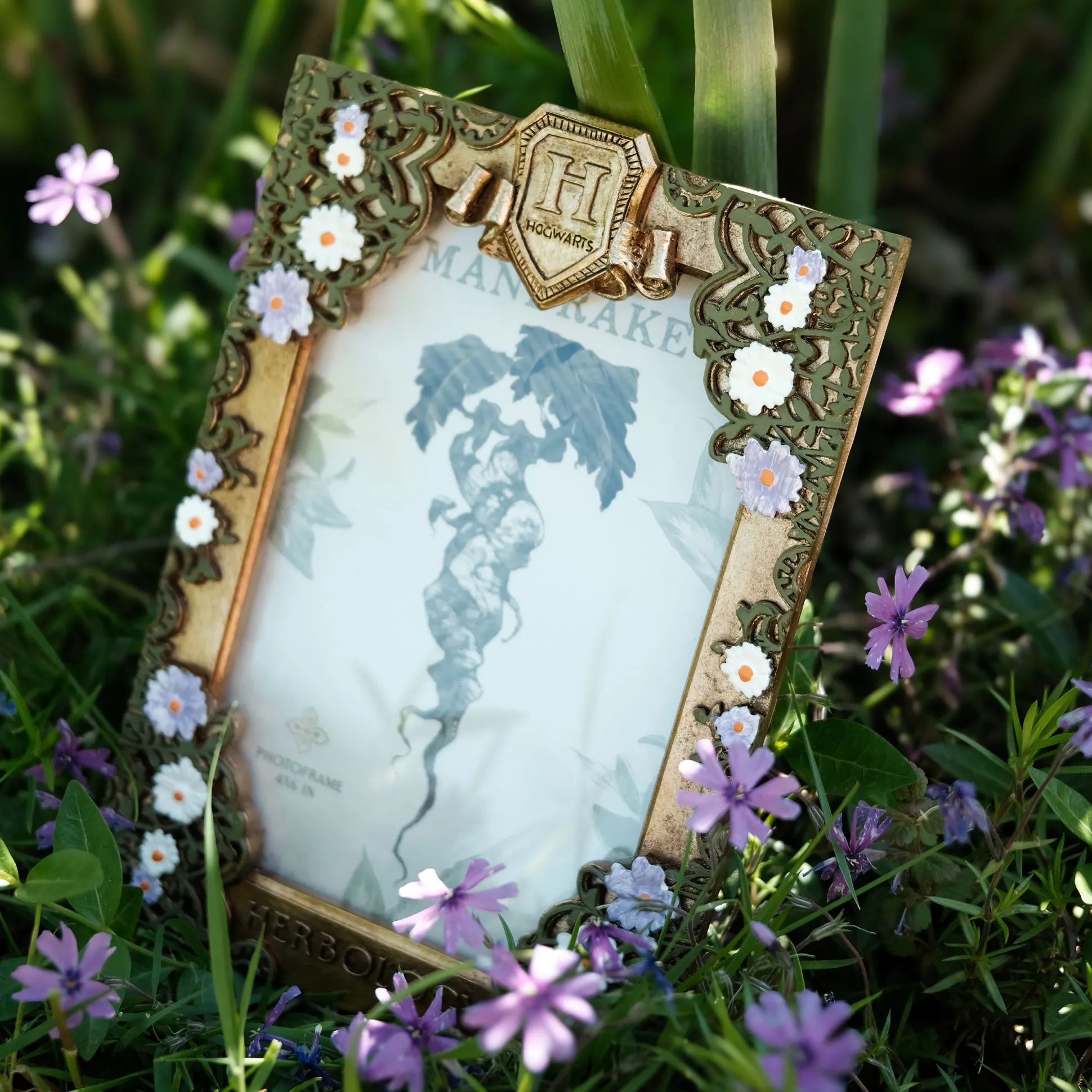 Harry Potter - Kruidenkunde Fotolijst