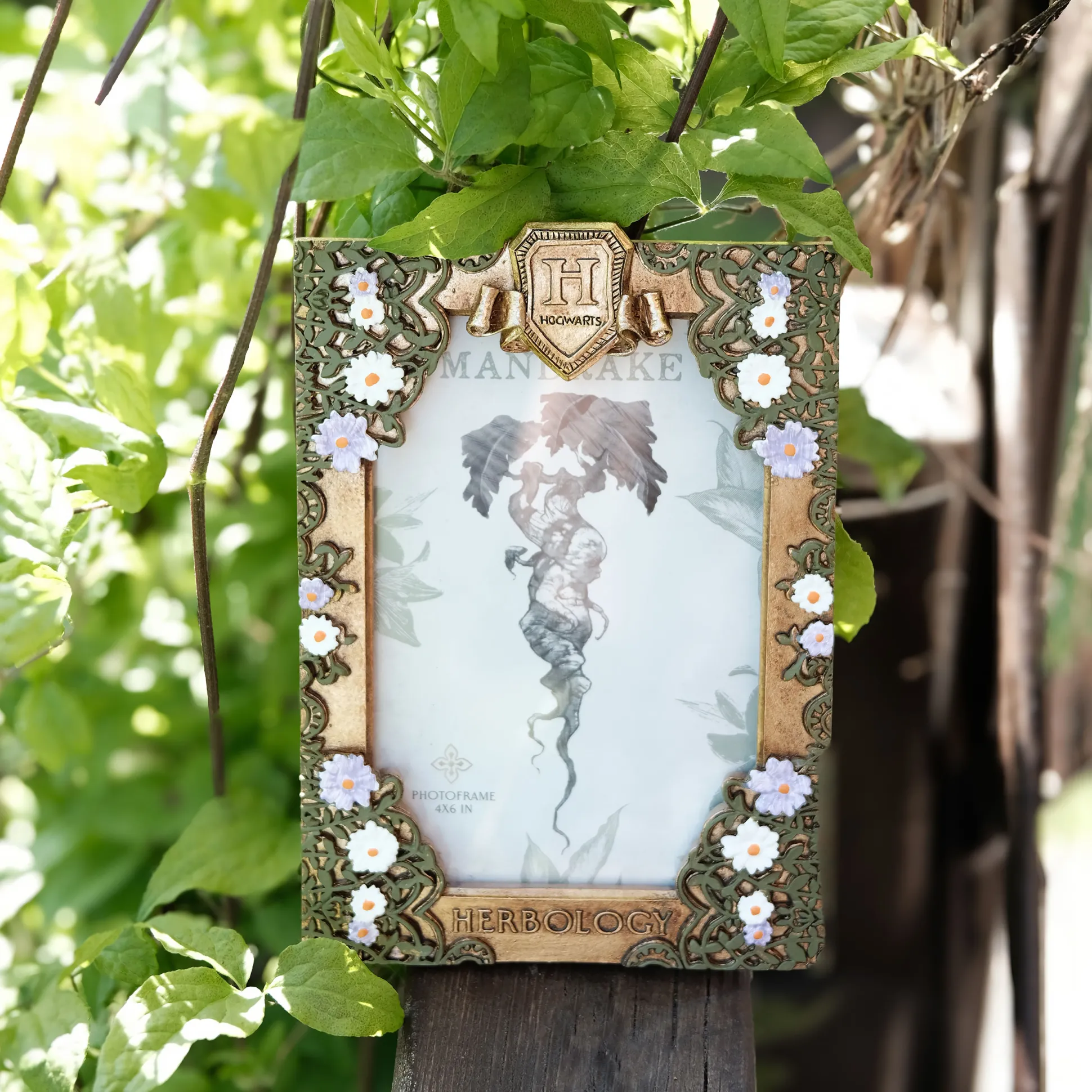 Harry Potter - Kruidenkunde Fotolijst