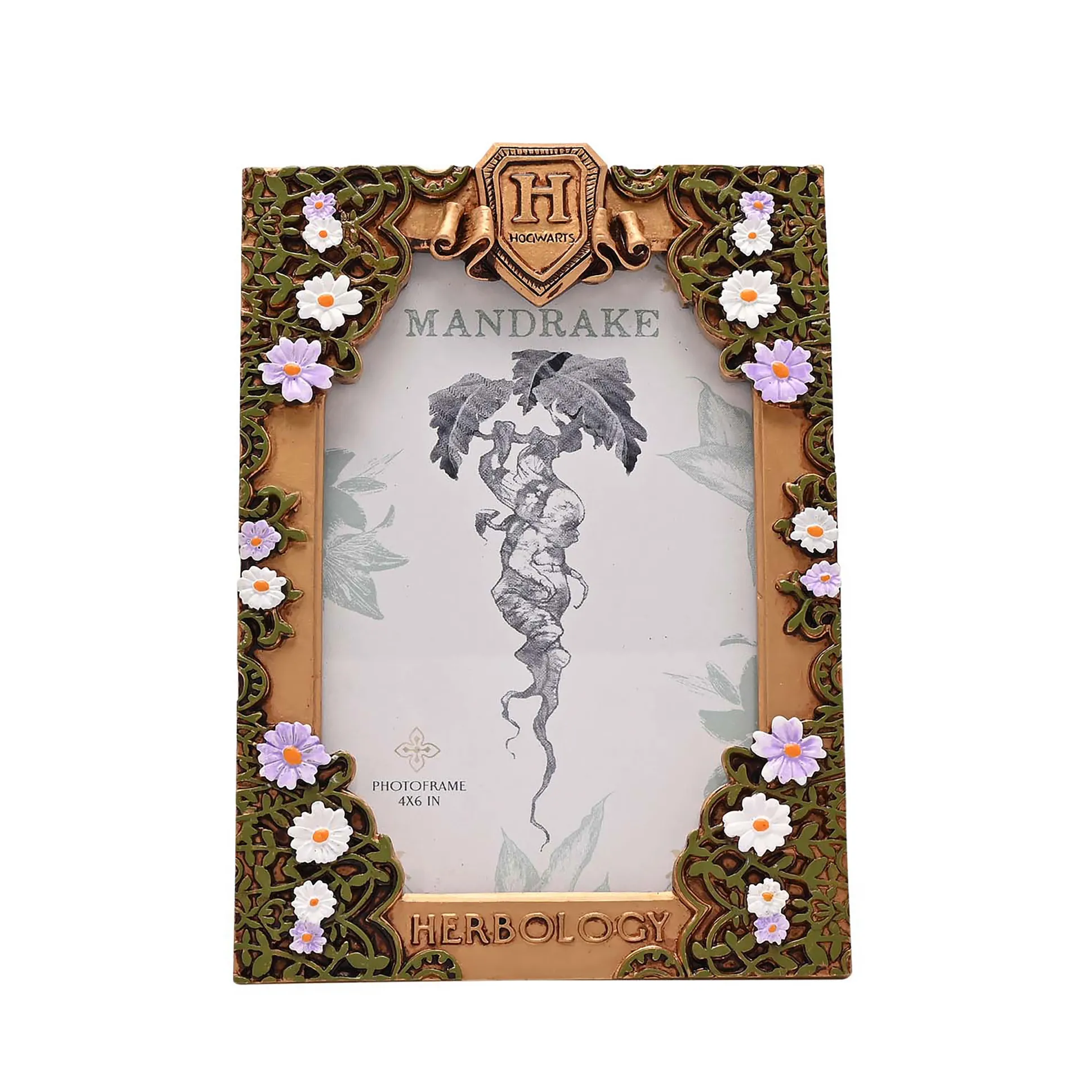 Harry Potter - Kruidenkunde Fotolijst