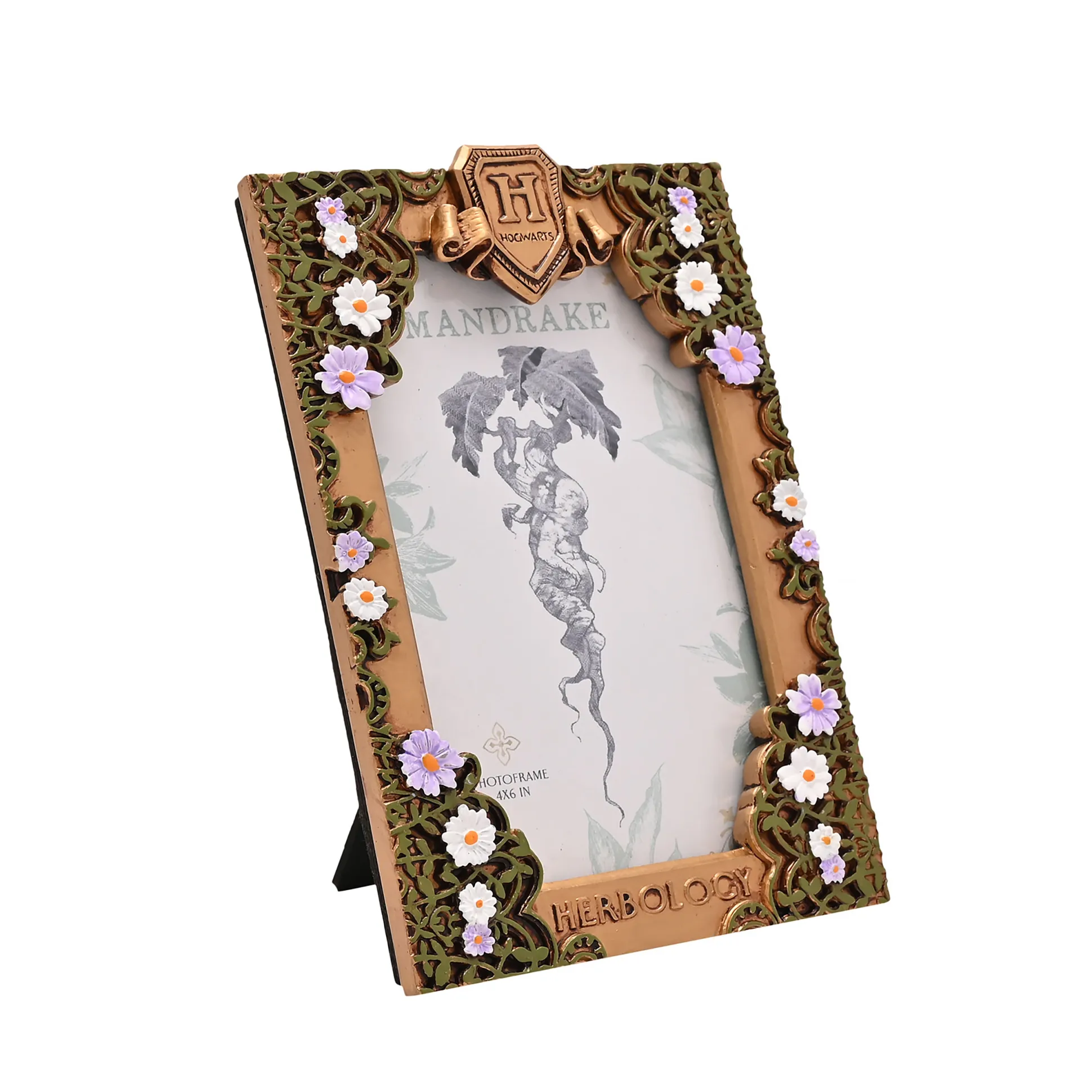 Harry Potter - Kruidenkunde Fotolijst
