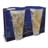 Harry Potter - Magic and Mayhem glazen set van 2