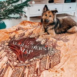 Harry Potter - Marauders Map Pluizige Deken met Teddybont