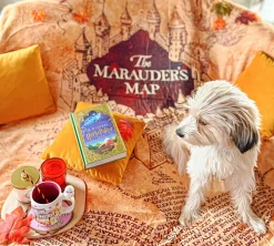 Harry Potter - Marauders Map Pluizige Deken met Teddybont