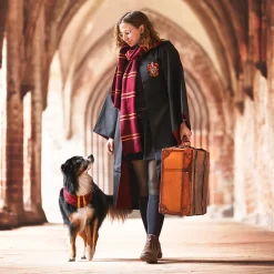 Harry Potter - Originele Gryffindor Wollen Sjaal