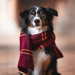 Harry Potter - Originele Gryffindor Wollen Sjaal
