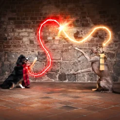 Harry Potter - Originele Gryffindor Wollen Sjaal