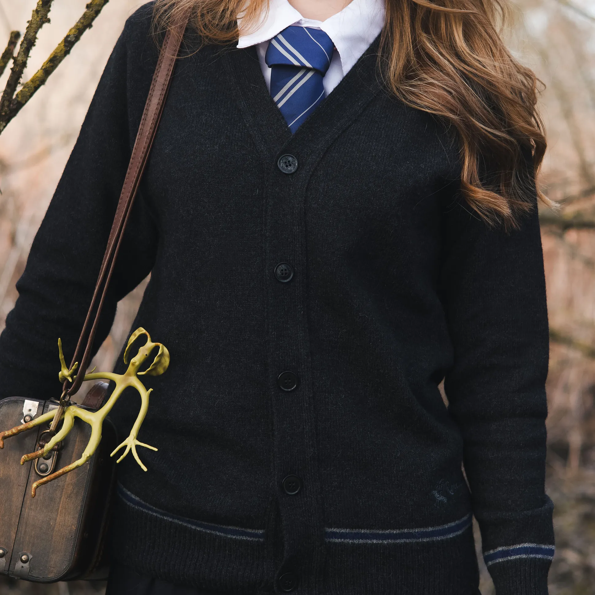Harry Potter - Ravenclaw Cardigan