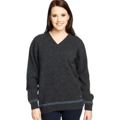 Harry Potter - Ravenclaw Trui