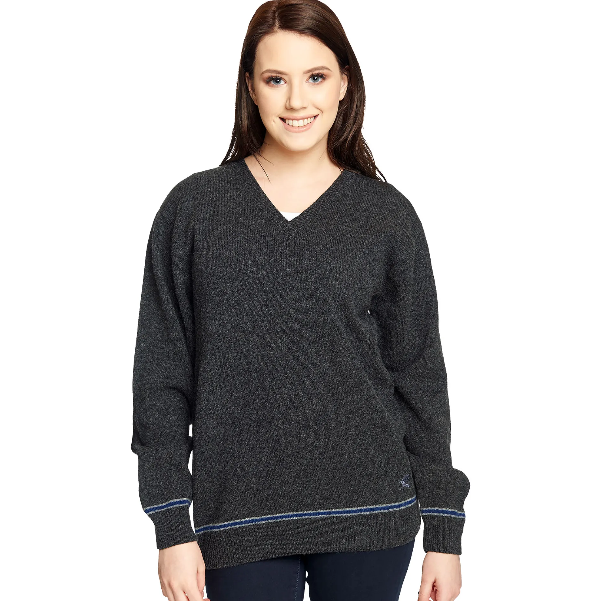 Harry Potter - Ravenclaw Trui